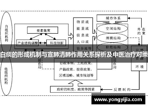 白痰的形成机制与宣肺清肺作用关系探析及中医治疗对策