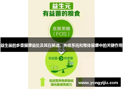 益生菌的多重健康益处及其在肠道、免疫系统和整体健康中的关键作用