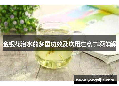 金银花泡水的多重功效及饮用注意事项详解